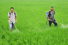 种植水稻需要使用的农业机械设备